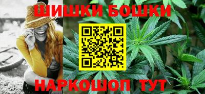 мдпв Славгород
