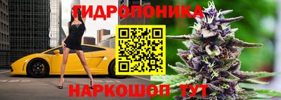 мдпв Славгород