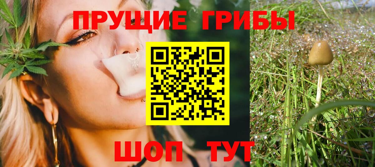 Псилоцибиновые грибы Cubensis Ногинск